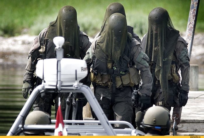 fuerzas especiales danesa