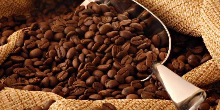 ¡ATENCIÓN! ¿Café y Chocolate en peligro de extinción?