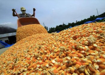 ¡Producción nacional! Este es el precio de la harina Doña Goya (+Origen)