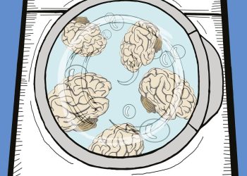 CuatroF115 PAG01 e1490625587655