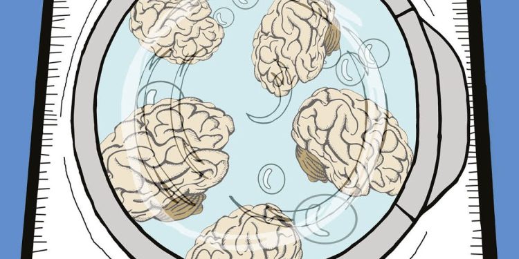 CuatroF115 PAG01 e1490625587655