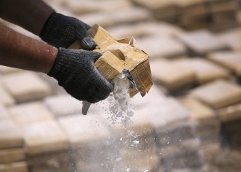 «No solo de pan vive el hombre»: Aumenta la producción de drogas en Colombia