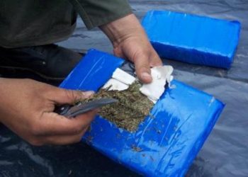 ¡Atrapados! Ni la policía se salva de la justicia (+298 Panelas de Marihuana)