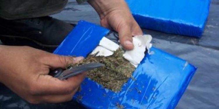 ¡Atrapados! Ni la policía se salva de la justicia (+298 Panelas de Marihuana)