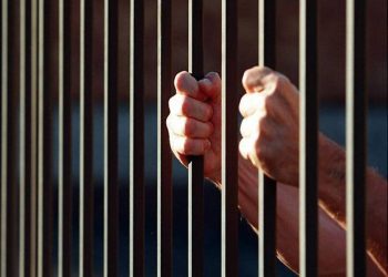 ¡Aprehendidos! 117 implicados en destrucción de bienes públicos y privados