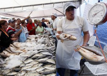 Cerca de un millón 450 mil kilos de productos pesqueros estarán a disposición de la población (+Semana Mayor)