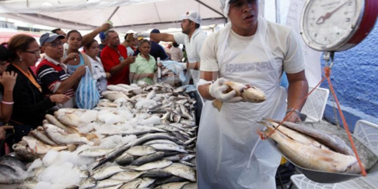 Cerca de un millón 450 mil kilos de productos pesqueros estarán a disposición de la población (+Semana Mayor)