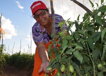 ¡PENDIENTE! Esto cambiara la Agricultura Urbana (+Anuncios)