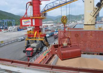 ¡Materia prima garantizada! 30 toneladas métricas de trigo panadero ingresaron a Puerto Cabello
