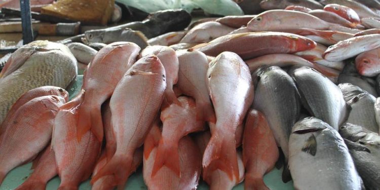 ¡Alimentación soberana! CLAP pesquero constribuye con una dieta balanceada para los venezolanos (+ de 5 millones de  kilos distribuidos)