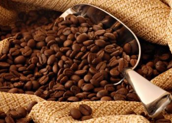 ¡Por las Nubes! Aumenta la producción de Café en el País 3 ¡Por las Nubes! Aumenta la producción de Café en el País