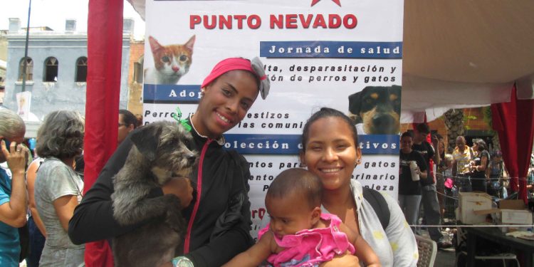 1236 animales fueron atendidos por Misión Nevado en varios estados del país