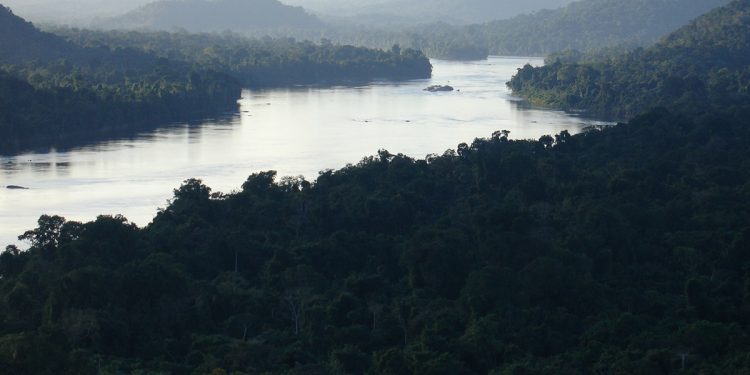p15 rio caura