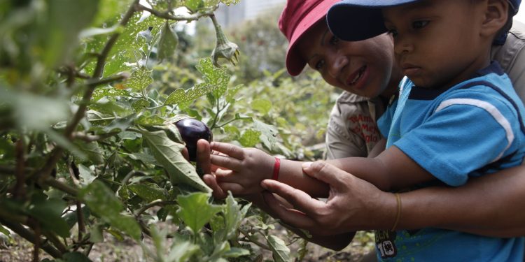 ¡En crecimiento! Aquí te contamos cuáles son los avances en materia de producción agrícola