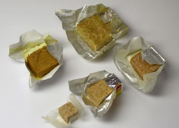 ¡Comida de mentira! Cubitos Maggi: Lo rápido, lo tóxico y la obesidad