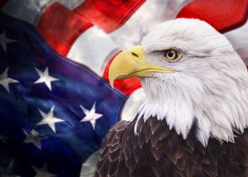 El Estado de la Democracia de los Estados Unidos 2022