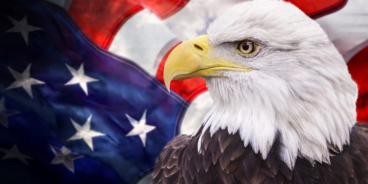 El Estado de la Democracia de los Estados Unidos 2022