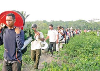 Colombia y el conflicto del pueblo por el Chocó