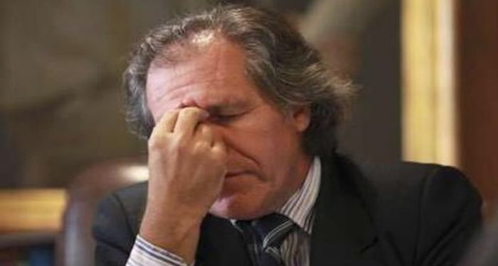 ¡El Fracaso de Almagro! Solo 13 países en la OEA respaldaron intervención a Venezuela