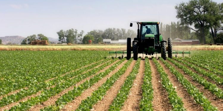 ¡Rescate de tierras! 2 mil hectáreas en Trujillo, Apure, Barinas y Portuguesa (+Producción nacional)