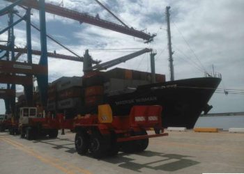 ¡Llegó el Trigo! Arriba a puerto seguro Alimento y Medicina para el pueblo