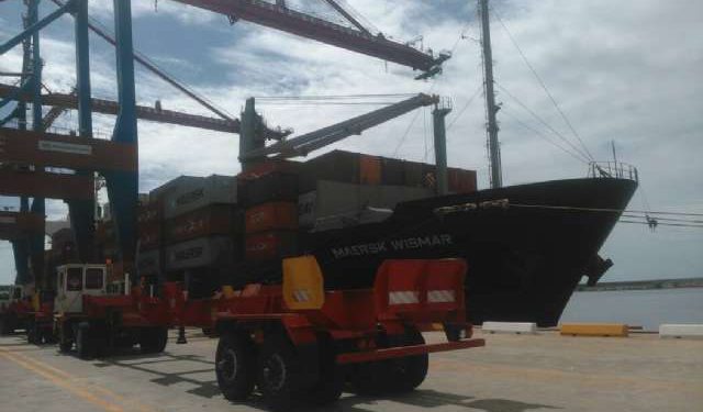 ¡Llegó el Trigo! Arriba a puerto seguro Alimento y Medicina para el pueblo