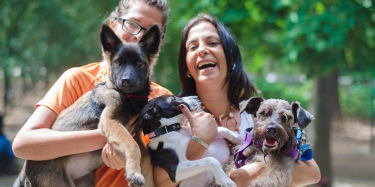 4 de octubre Día Mundial de los Animales