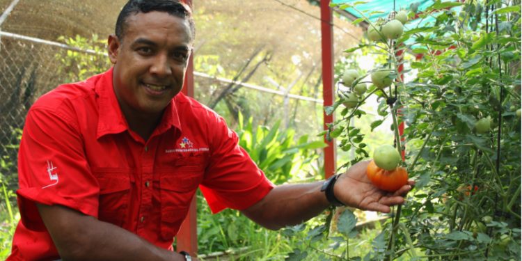 Manuel Dun: Gobernadores deben sujetarse al poder originario