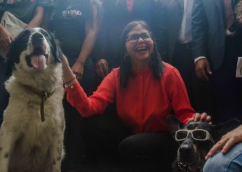 Qué dejo la jornada por el día Mundial de los Animales