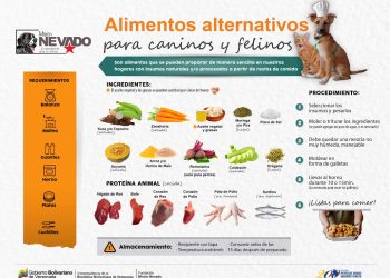 Solidaridad para combatir la emergencia económica