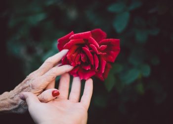 ¡De infarto! Esta es la historia de Mauricio y Yolanda, una pareja con 68 años de diferencia 5 ¡De infarto! Esta es la historia de Mauricio y Yolanda, una pareja con 68 años de diferencia