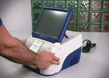 ¡Toma nota! Así podrás ubicar al candidato de tu preferencia en la boleta de votación