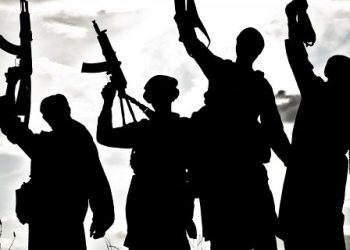 Terrorismo «Libertario» de Red Chavistamente. Otra Historia para el Olvido