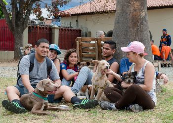 El valor de la relación con los animales