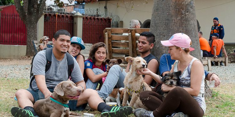El valor de la relación con los animales