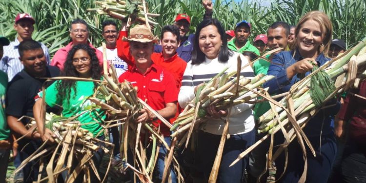 Ministro Bernal: Alza indiscriminada de precios forma parte de la guerra económica