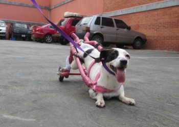 Entérate como le cambio la vida a Manchas