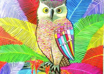 Bienal del Sur: arte nuestro