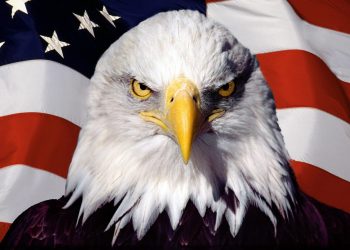 Simón Rodríguez y la química