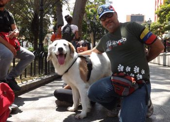 Enfrentando la guerra económica contra nuestras mascotas
