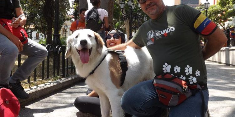 Enfrentando la guerra económica contra nuestras mascotas