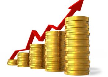 Las propuestas de Pascualina Curcio