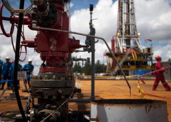 Los Injertos Socialistas de PDVSA