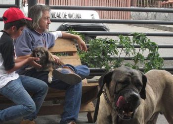 Juan Carlos, el querido proteccionista cambió de paisaje