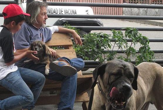 Juan Carlos, el querido proteccionista cambió de paisaje