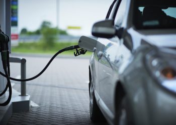 El peor de sus temores