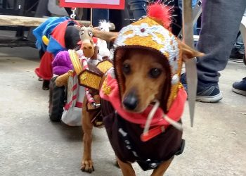 Concejales y Concejalas de la Revolución