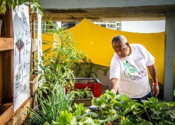 Por amor defiendo los CLAP