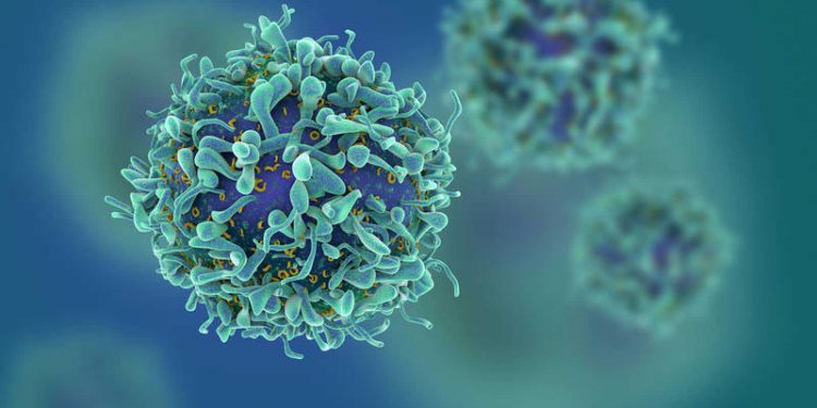 Virus de autoproclamado