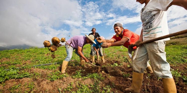 Resistir, avanzar y vencer